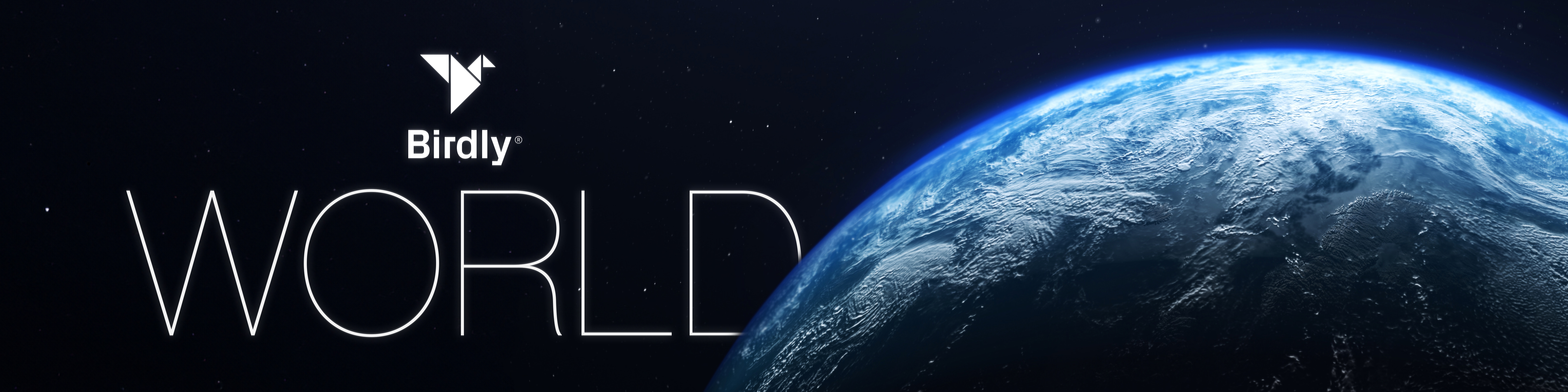 BirldyWorld_4_1.jpg
